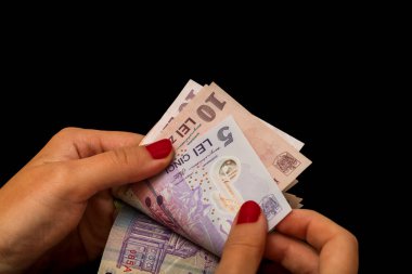 LEI para banknotları, RON 'un detaylı fotoğrafı. Romanya para birimi