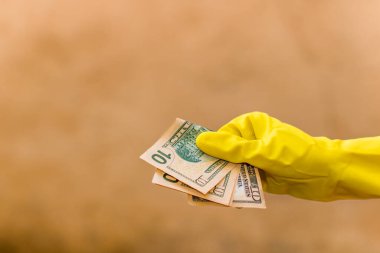Amerikan doları banknotları, Amerikan dolarlarının detaylı fotoğrafları. Amerika Birleşik Devletleri para birimi