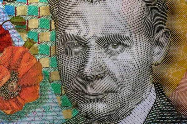 LEI para banknotları, RON 'un detaylı fotoğrafı. Romanya para birimi