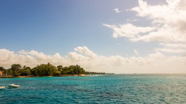 Barbados Adası 'nın Sandy Paradise Plajı, Karayip Adası