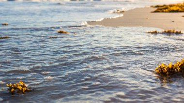 Horseshoe Bay Sahili ve Hamilton, Bermuda 'daki Deep Bay Sahili