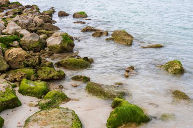 Labadee egzotik tropikal plajı, Haiti, Karayip Denizi