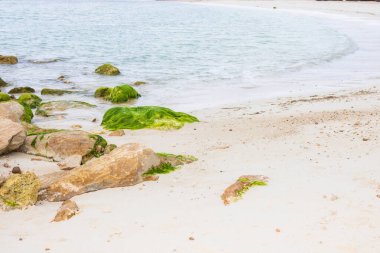 Labadee egzotik tropikal plajı, Haiti, Karayip Denizi