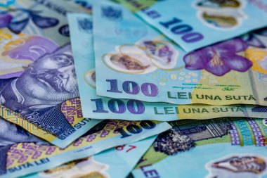 LEI para banknotları, RON 'un detaylı fotoğrafı. Romanya para birimi