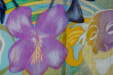 LEI para banknotları, RON 'un detaylı fotoğrafı. Romanya para birimi