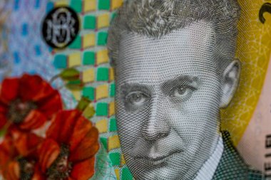 LEI para banknotları, RON 'un detaylı fotoğrafı. Romanya para birimi