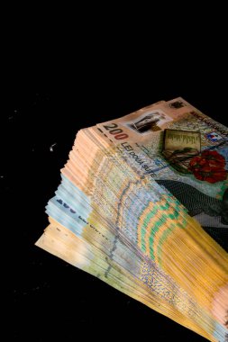 LEI para banknotları, RON 'un detaylı fotoğrafı. Romanya para birimi
