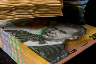 LEI para banknotları, RON 'un detaylı fotoğrafı. Romanya para birimi