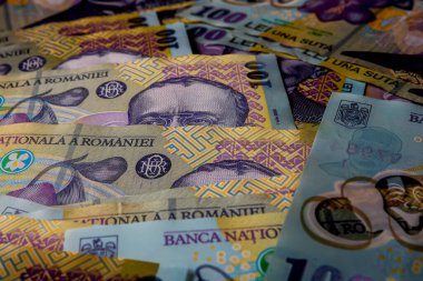 LEI para banknotları, RON 'un detaylı fotoğrafı. Romanya para birimi