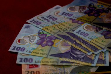 LEI para banknotları, RON 'un detaylı fotoğrafı. Romanya para birimi