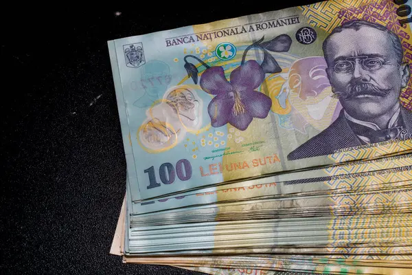 LEI para banknotları, RON 'un detaylı fotoğrafı. Romanya para birimi