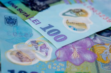 LEI para banknotları, RON 'un detaylı fotoğrafı. Romanya para birimi