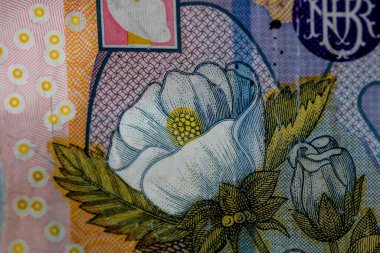 LEI para banknotları, RON 'un detaylı fotoğrafı. Romanya para birimi