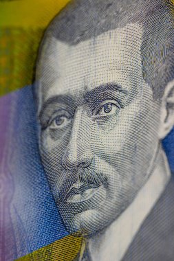 LEI para banknotları, RON 'un detaylı fotoğrafı. Romanya para birimi