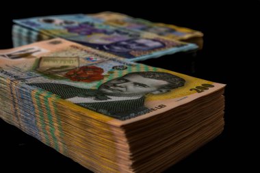LEI para banknotları, RON 'un detaylı fotoğrafı. Romanya para birimi