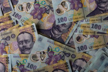 LEI para banknotları, RON 'un detaylı fotoğrafı. Romanya para birimi