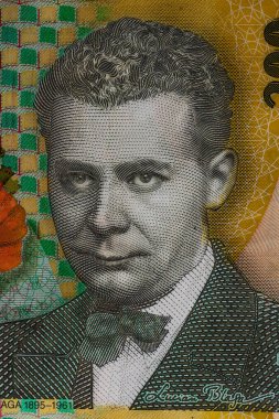 LEI para banknotları, RON 'un detaylı fotoğrafı. Romanya para birimi