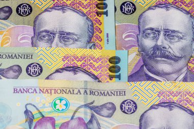 LEI para banknotları, RON 'un detaylı fotoğrafı. Romanya para birimi