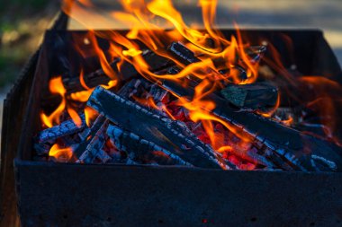 Kömür oluşturmak için odun parçaları yakmak. Barbekü hazırlığı, pişirmeden önce ateş..