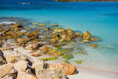 Labadee egzotik tropikal plajı, Haiti, Karayip Denizi