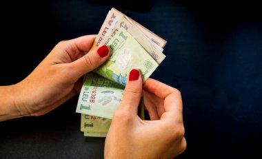 LEI para banknotları, RON 'un detaylı fotoğrafı. Romanya para birimi
