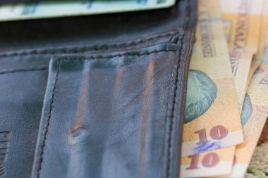 Walett para dolu. Romen para birimi LEI