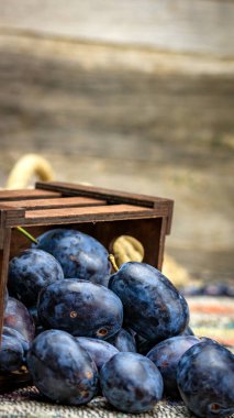 Kırsal bir kompozisyonda ahşap bir sandıkta olgun mavi erikler..
