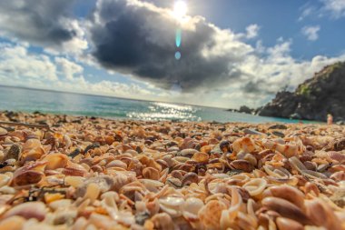 Saint Barthelemy 'deki huzurlu plaj (St. Barts, St. Barth, St. Barth)