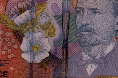 LEI para banknotları, RON 'un detaylı fotoğrafı. Romanya para birimi