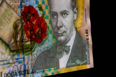 LEI para banknotları, RON 'un detaylı fotoğrafı. Romanya para birimi