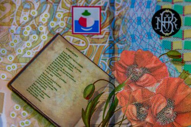 LEI para banknotları, RON 'un detaylı fotoğrafı. Romanya para birimi