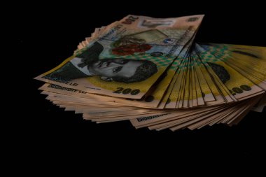 LEI para banknotları, RON 'un detaylı fotoğrafı. Romanya para birimi