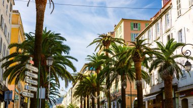 Ajaccio, Korsika Adası, Fransa 'daki Merkez Meydanı Foca