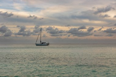 Saint Barthelemy 'deki plajda bir sürü merminin yakın plan fotoğrafı (St. Barts, St. Barth, St. Barth)