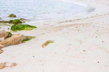 Labadee egzotik tropikal plajı, Haiti, Karayip Denizi