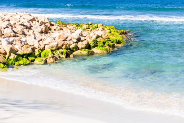 Labadee egzotik tropikal plajı, Haiti, Karayip Denizi