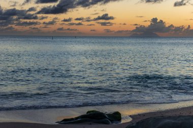 Saint Barthelemy 'deki plajda bir sürü merminin yakın plan fotoğrafı (St. Barts, St. Barth, St. Barth)