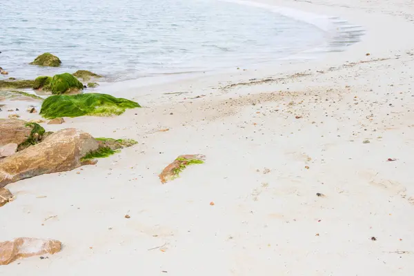 stock image Labadee exotic tropical beach, Haiti, Caribbean Sea