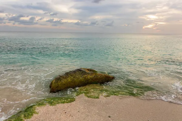 Saint Barthelemy 'deki plajda bir sürü merminin yakın plan fotoğrafı (St. Barts, St. Barth, St. Barth)