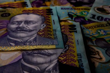 LEI para banknotları, RON 'un detaylı fotoğrafı. Romanya para birimi