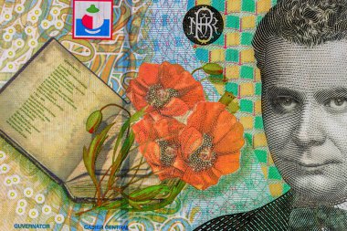 LEI para banknotları, RON 'un detaylı fotoğrafı. Romanya para birimi