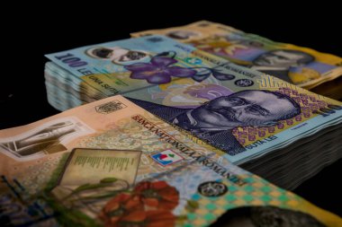 LEI para banknotları, RON 'un detaylı fotoğrafı. Romanya para birimi