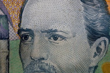 LEI para banknotları, RON 'un detaylı fotoğrafı. Romanya para birimi