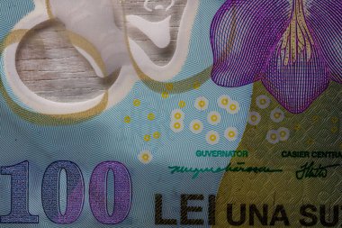 LEI para banknotları, RON 'un detaylı fotoğrafı. Romanya para birimi