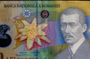 LEI para banknotları, RON 'un detaylı fotoğrafı. Romanya para birimi