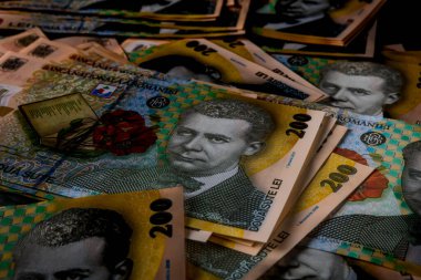 LEI para banknotları, RON 'un detaylı fotoğrafı. Romanya para birimi