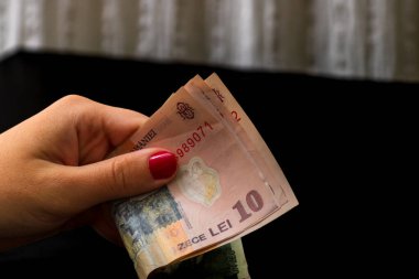 LEI para banknotları, RON 'un detaylı fotoğrafı. Romanya para birimi