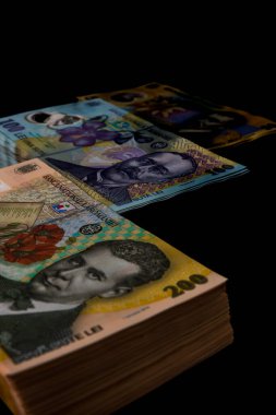 LEI para banknotları, RON 'un detaylı fotoğrafı. Romanya para birimi