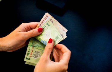 LEI para banknotları, RON 'un detaylı fotoğrafı. Romanya para birimi