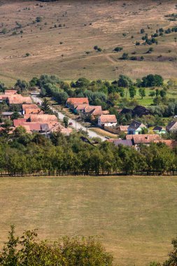 Romanya 'da bitki örtüsü, tarlaları ve evleri olan bir kırsal alan manzarası.